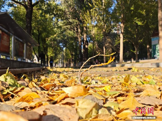 S54·܉܇ؾh(hun)Σ߅L(fng)òS~䁝M·档 z