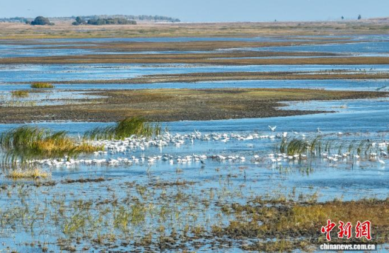 1016գĪĪ(gu)Ҽ(j)Ȼo(h)^(q)(ni)ڑˮ(o(w)˙C(j)Ƭ)w z