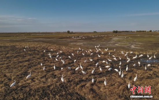 1016ڼĪĪ(gu)Ҽ(j)Ȼo(h)^(q)(ni)QϢ(o(w)˙C(j)Ƭ)w z