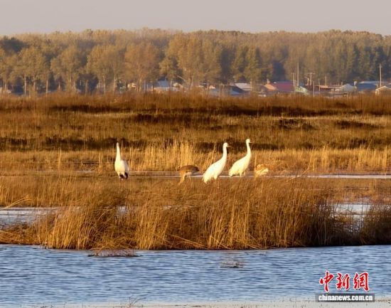 ؚwQȺġС()˰QȺwr z