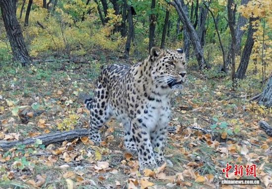 2025ږ|ҹ@ĔzĖ|(ҕýD)