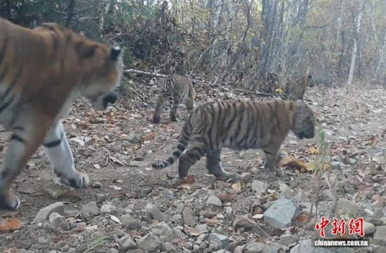 2025ږ|ҹ@ĔzĖ|(ҕýD)