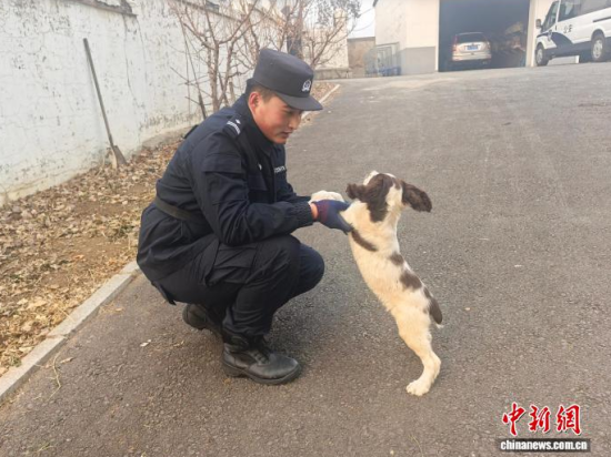 Ҳc[B(yng)Hܶȡʯ z