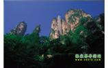 網(wǎng)絡(luò)熱門純玩游：張家界、天子山、袁家界、楊家界 自助三日游