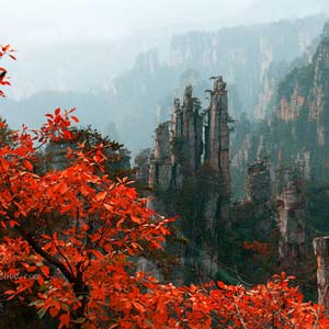 休閑自駕E線：張家界、袁家界、天子山、寶峰湖、鳳凰古城、沱江泛舟四晚五日游