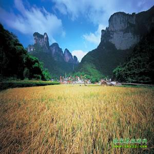 張家界往返純玩散拼：矮寨大橋、德夯苗寨、鳳凰古城、芙蓉鎮(zhèn)二日游